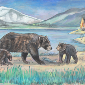 Bears. Illustration for a children's educational magazine -"Why?" Publishing house "Young Technician". Heading: "About our little brothers." Genre.- Animal studies . Artist Marat Bryzgalov.