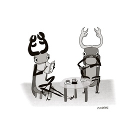 STAG BEETLES