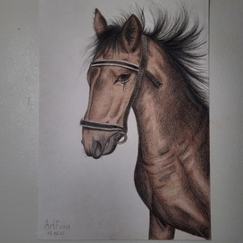 Конь "Браун"