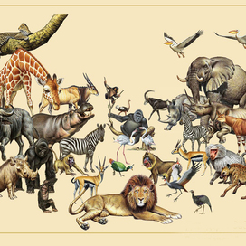 The Beasts of Africa