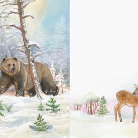 Разворот,встреча медведя оленёнком 