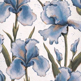 Iris pattern