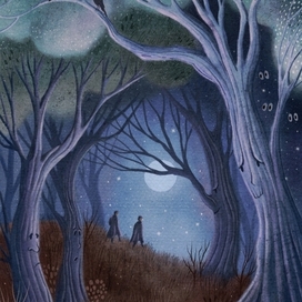 The magical forest of Fangorn