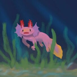 Детишка аксолотля