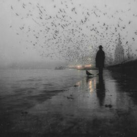 morning on the river