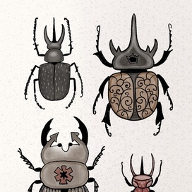 Жуки рогатые