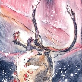 Северный олень