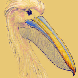 Цапля Нлаша