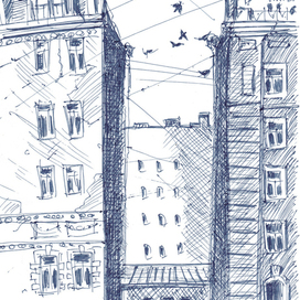 Птицы над городом