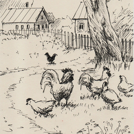 Птичья прогулка