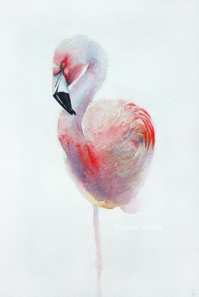 Акварельный фламинго