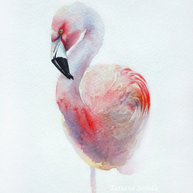 Акварельный фламинго