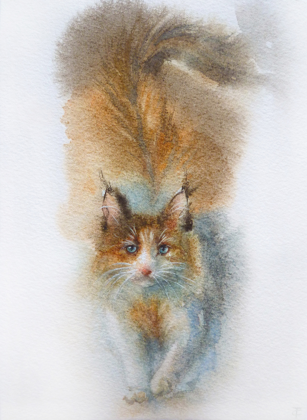 Акварельный котик