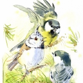 Зинька в компании других синичек