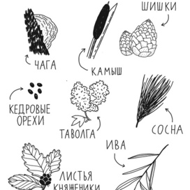 Брошюра для краеведческого музея в ХМАО