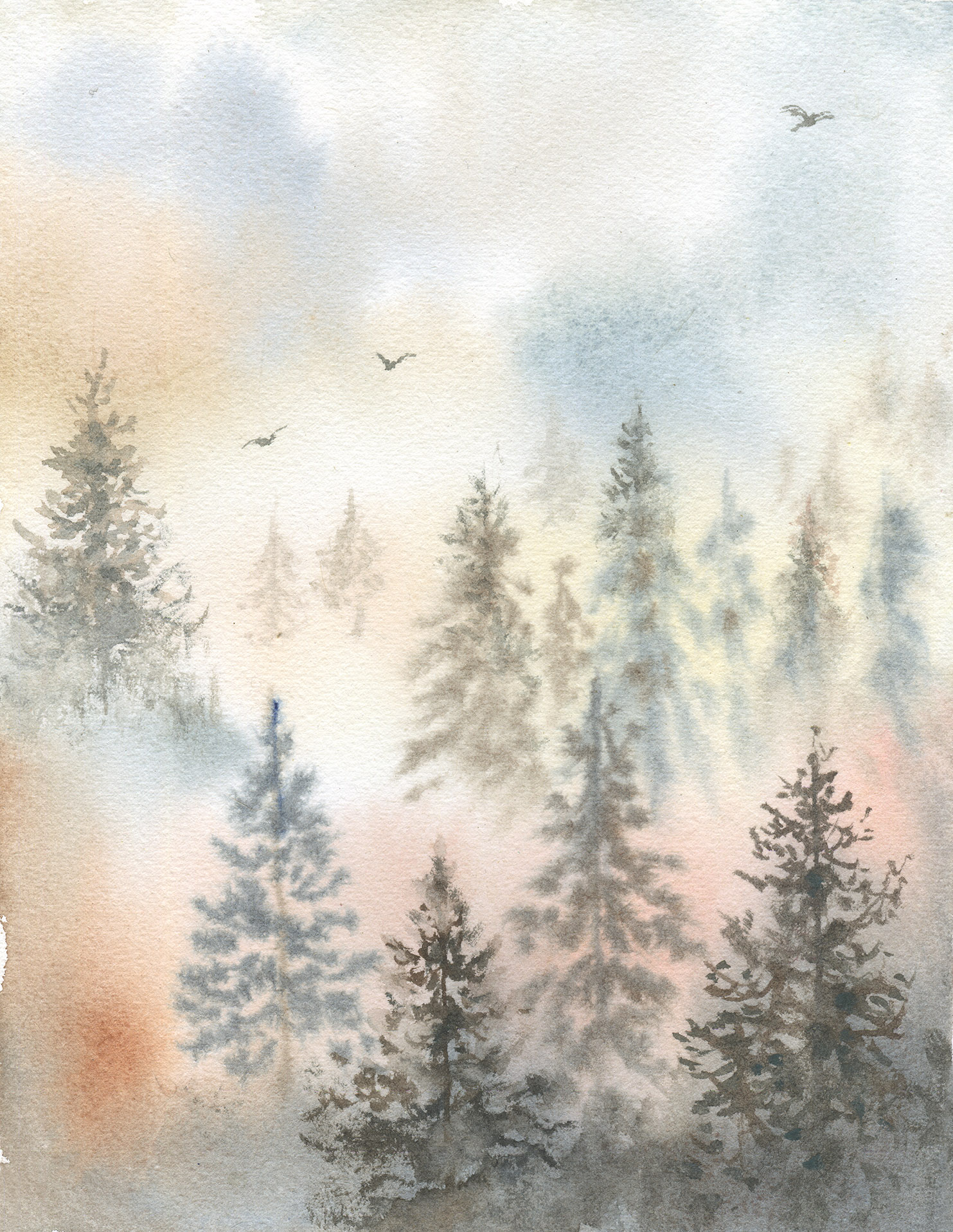 Туманный лес. Карелия. Акварель