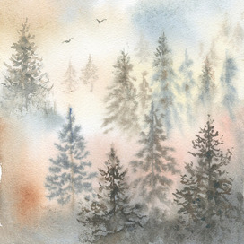 Туманный лес. Карелия. Акварель