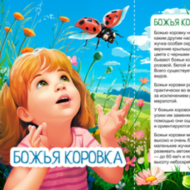 Книжка передвижка о божьей коровке