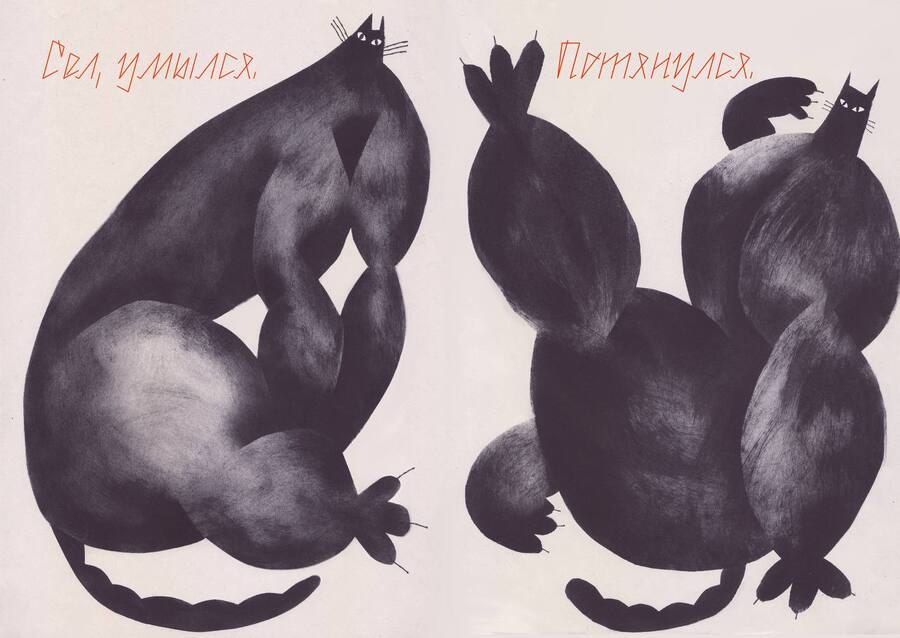 Зин "Сильный кот"