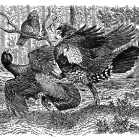 Досталось молодому от старого.