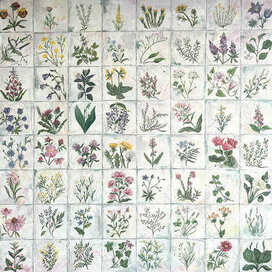 ПолеСборник