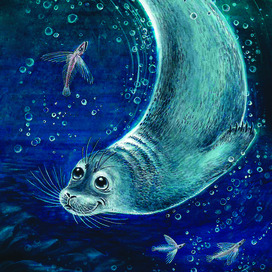 Байкальская нерпа и голомянки