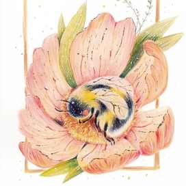 Bumblebee in the flower