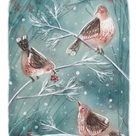 Winter birds