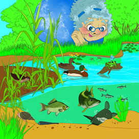 Иллюстрация к книге Приключения Росинки