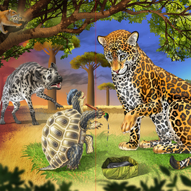 The African Tale of the Hyena and the Turtle