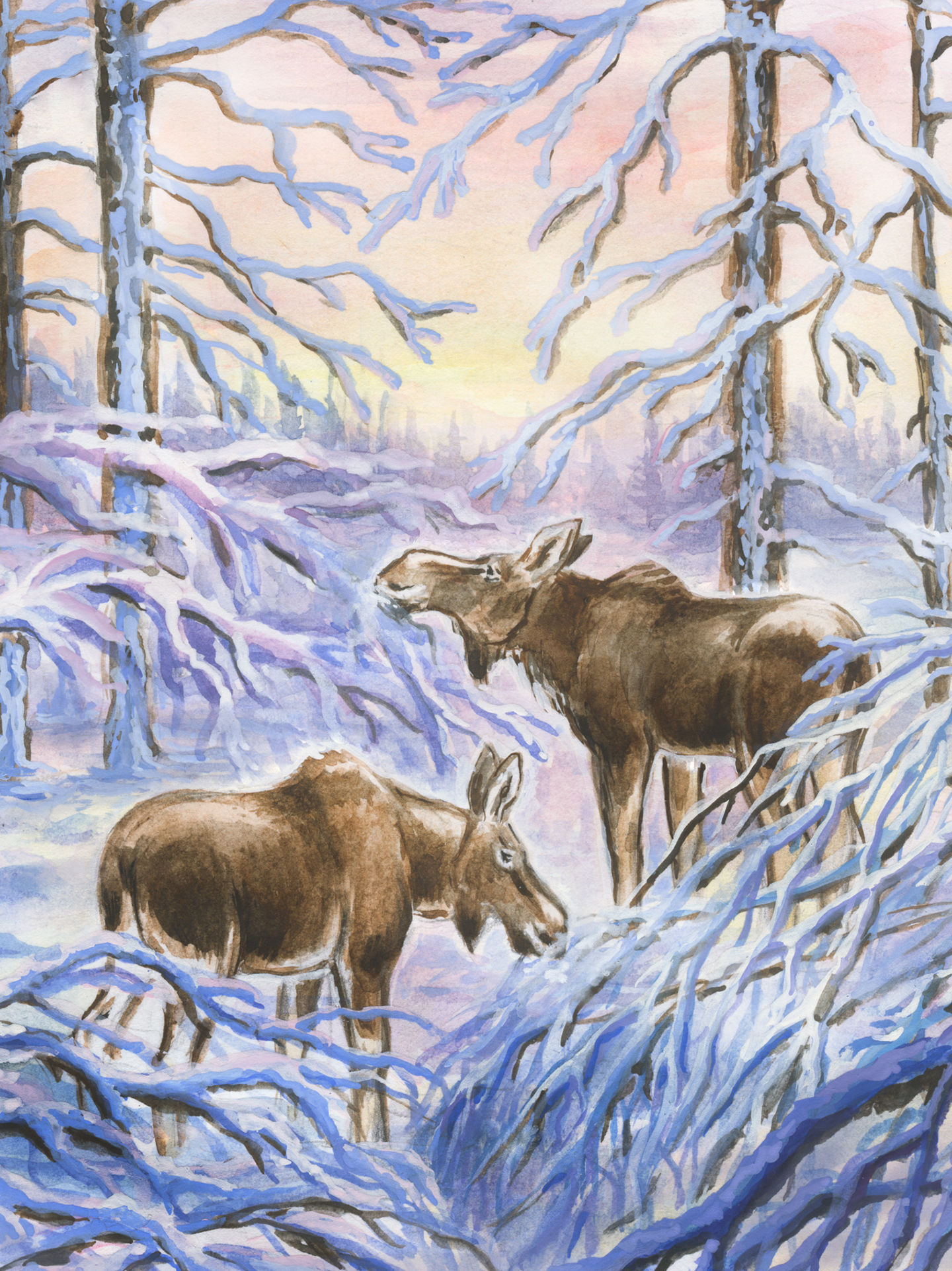 Утро в морозном лесу