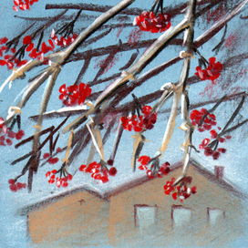 Зимняя калина