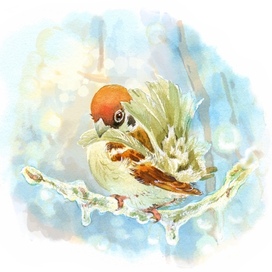 Воробьиха чистит перышки