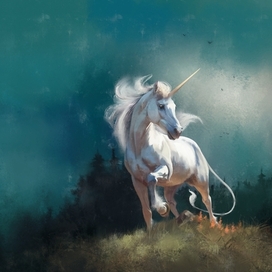 книжная обложка 