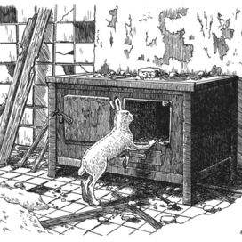 An abandoned pioneer camp.