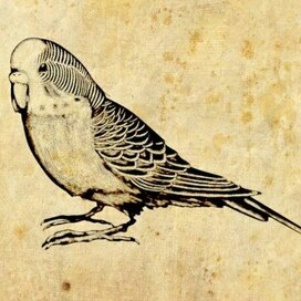 Компьютерный рисунок в стиле "Книжный"