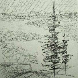 Тональный эскиз с елками