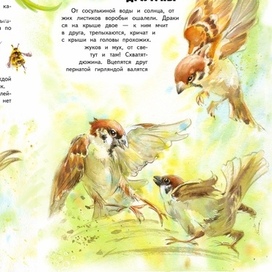 Опять драчуны, много драчунов)))