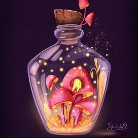 мир в бутылке