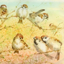 Дерево песен