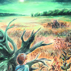 На овсяном поле