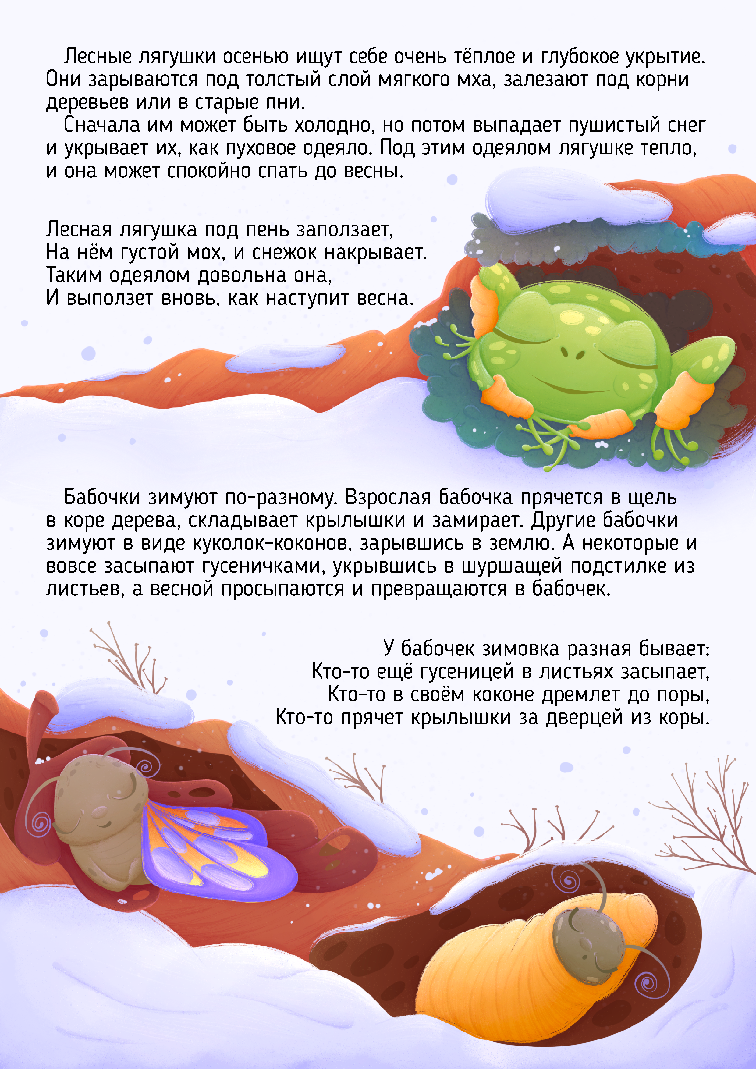 Как зимуют бабочки и лягушки?