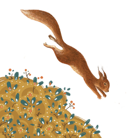 Белка тоже в поисках приключений