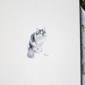 Murzik. watercolor miniature
