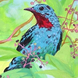 Gouache. bird
