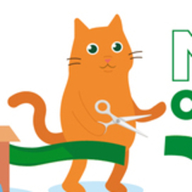 баннер на сайт