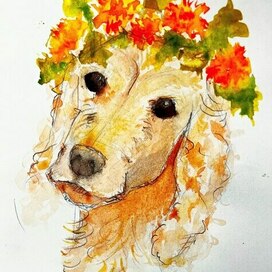 Кокер Рональд