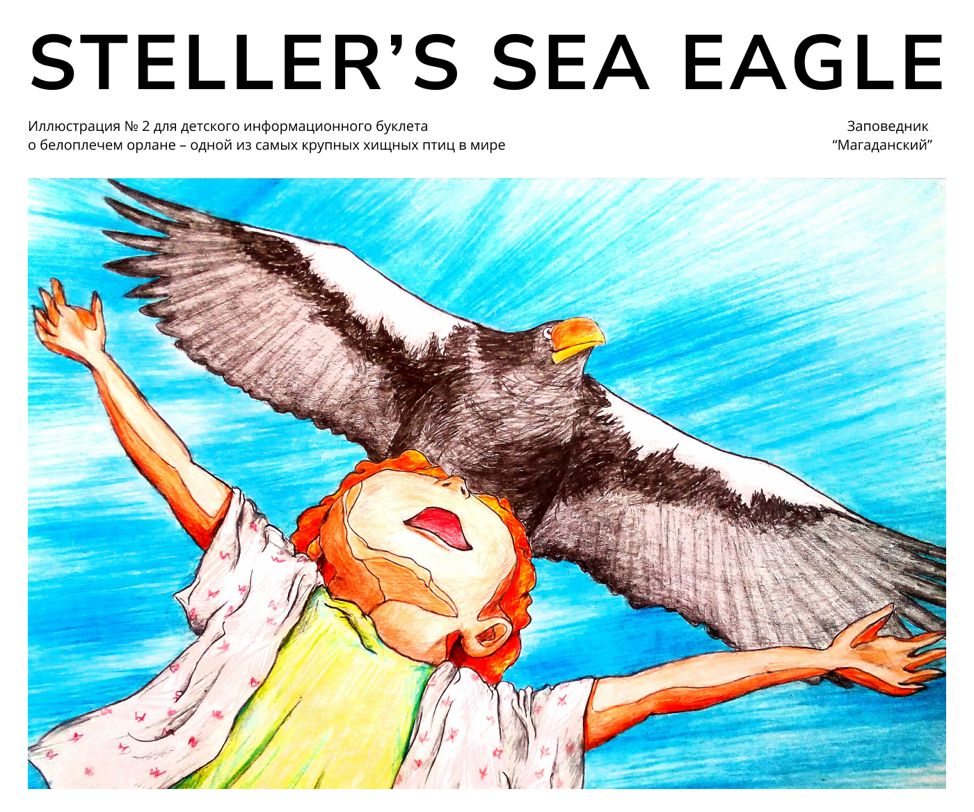 Иллюстрация для информационного буклета о белоплечем орлане