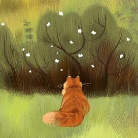 Кот и бабочки 