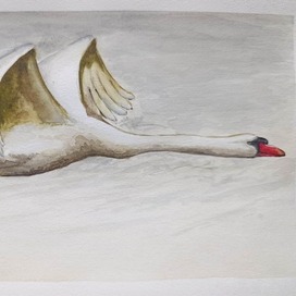 он все таки лебедь